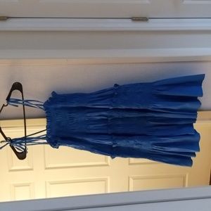 The Impeccable Pig, medium, royal blue